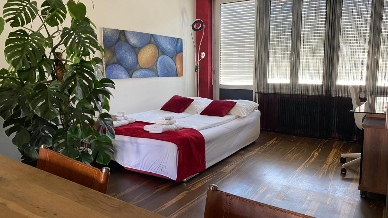 Special Retreat Apartment & Home-Office & Workplace Basel Bagian luar foto